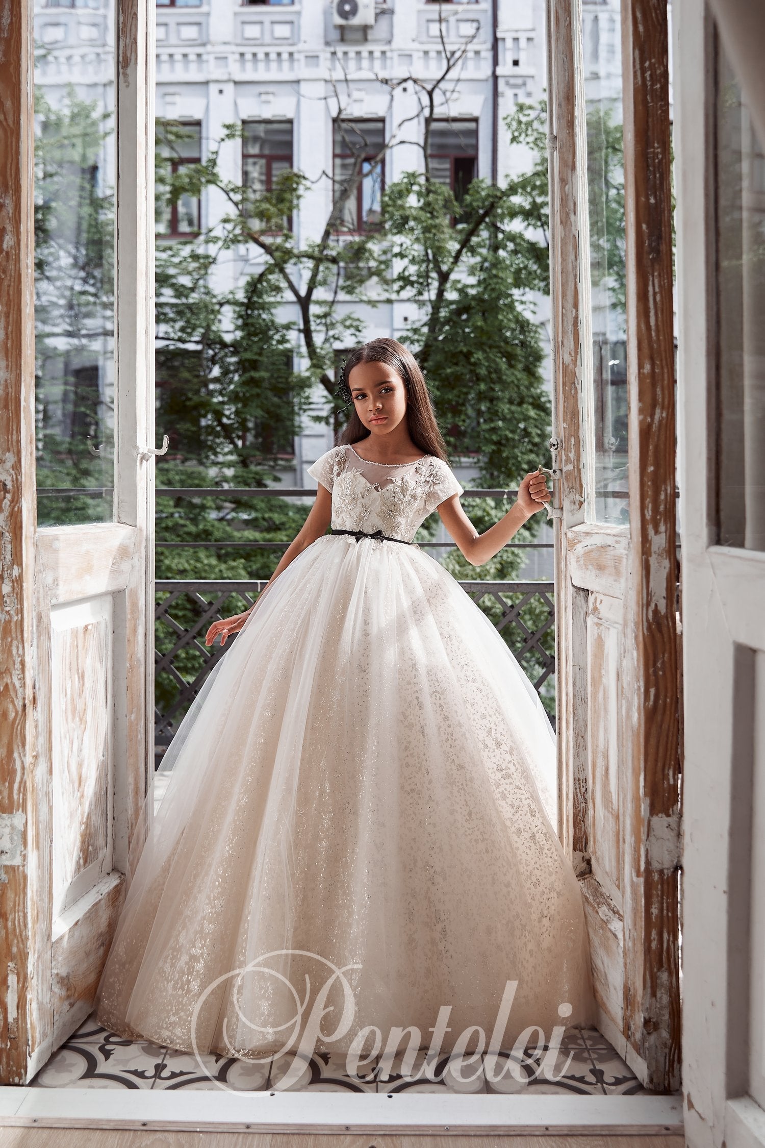 Lace Sleeve Tulle Flowergirl Dress with Open Back Size 5T-6 Lace Sleeve Tulle Flowergirl Dress with Open Back Size 5T-6