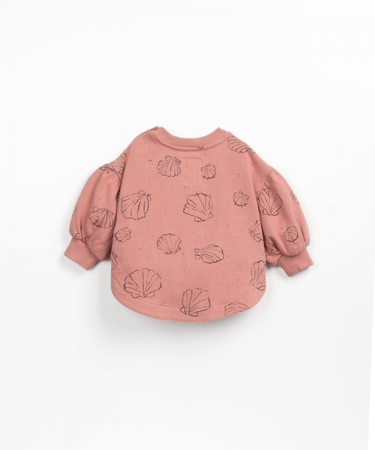 Play UP Sweater with round cut &Shorts with shells print set