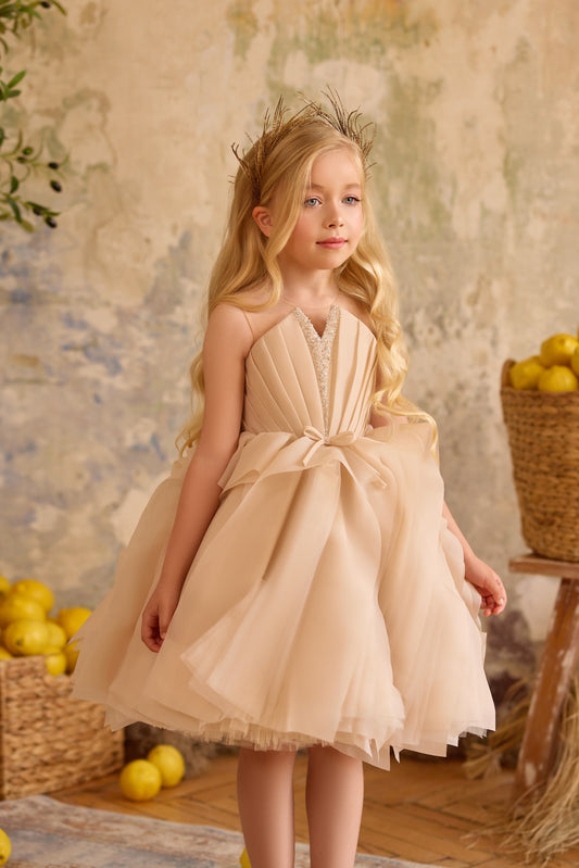 Evening Dress Model: 3811