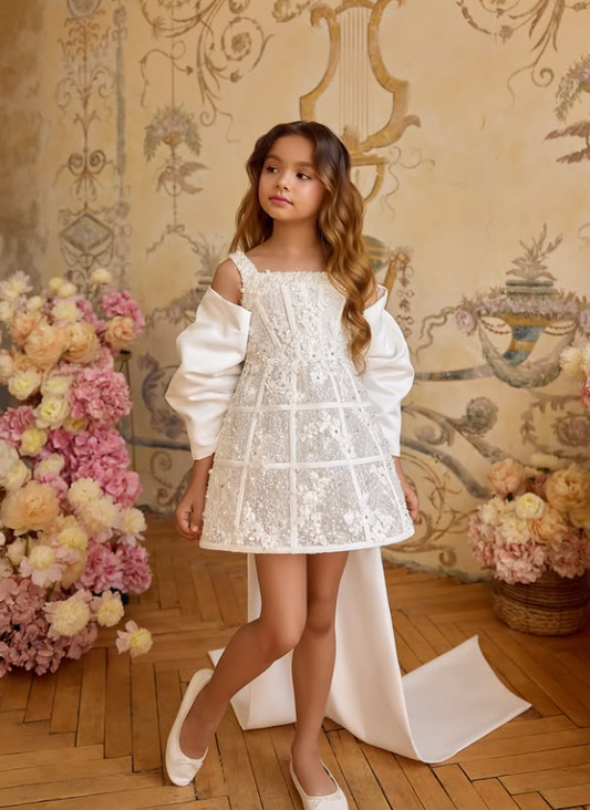 Evening Dress Model: 3806