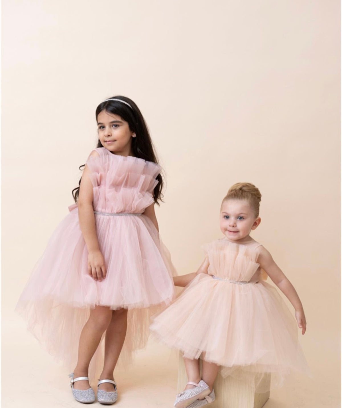 Sofia Dusty Rose Dress