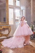 Evening Dress Model: 3401